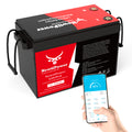 12V Lithium Battery NT12-330BLU