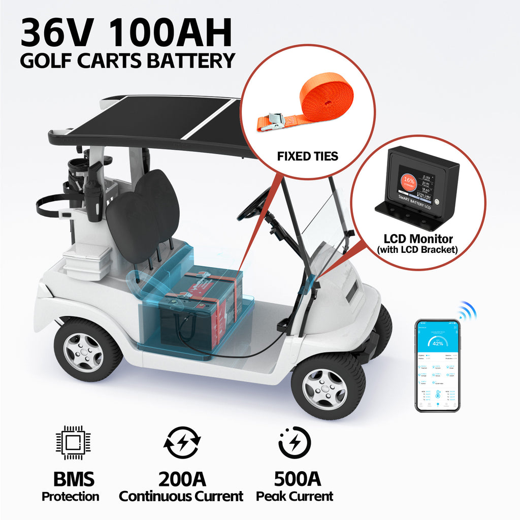 36V Lithium Battery NT36-100BLU