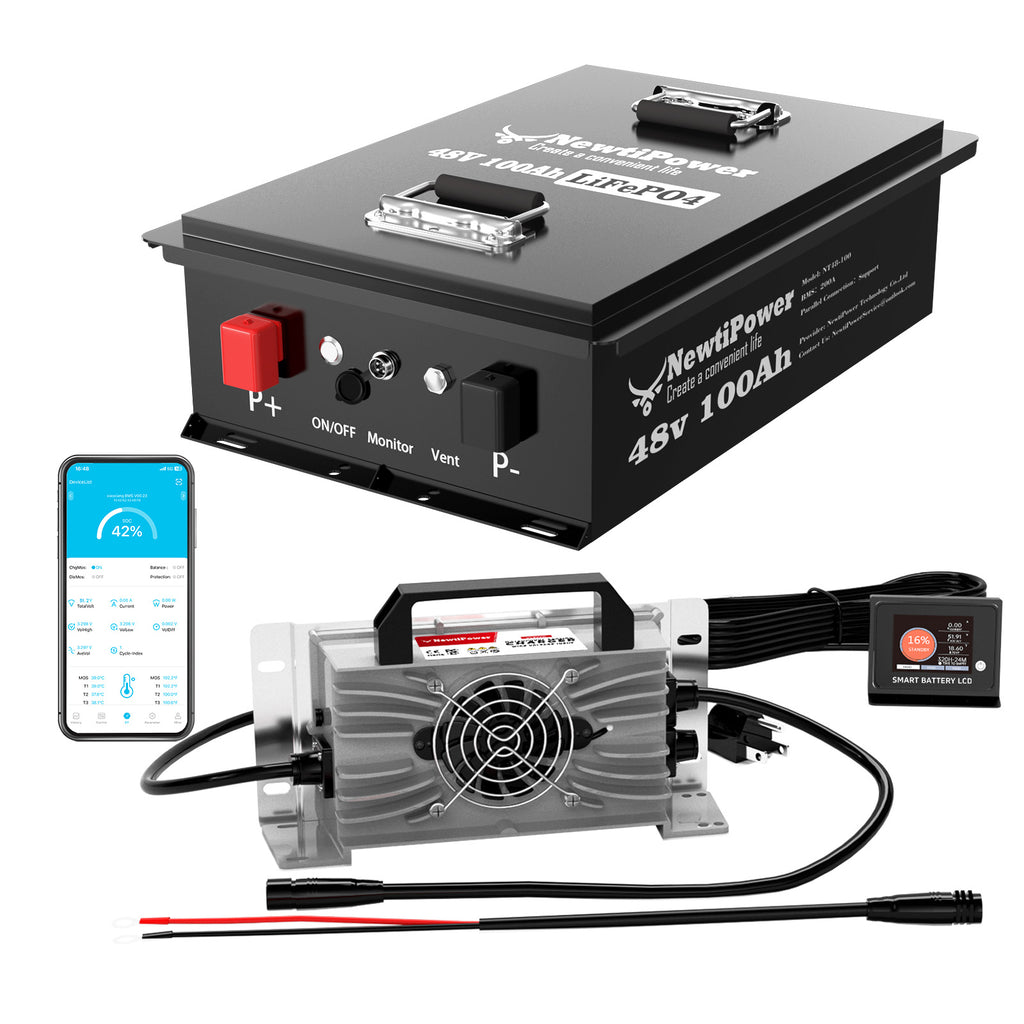 48V Lithium Battery NT48-100GC