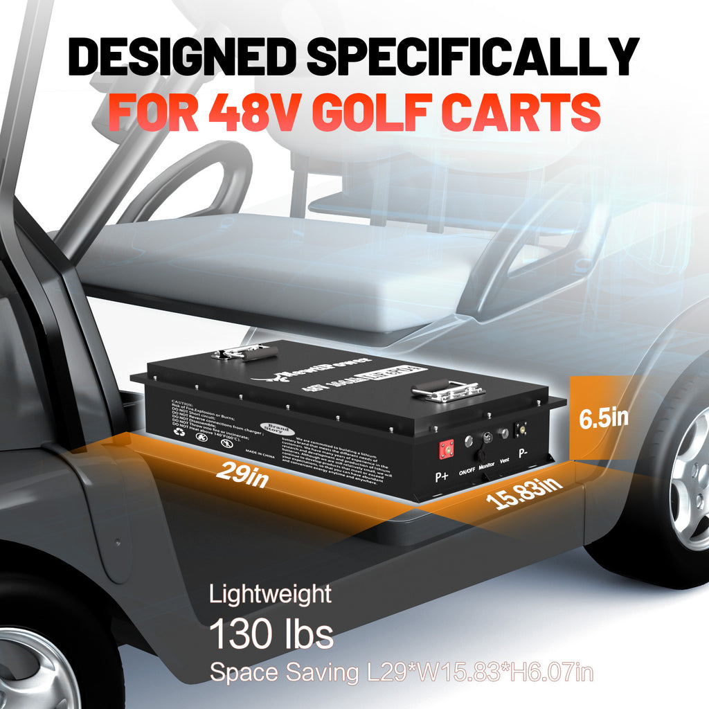48V Lithium Battery NT48-166GC