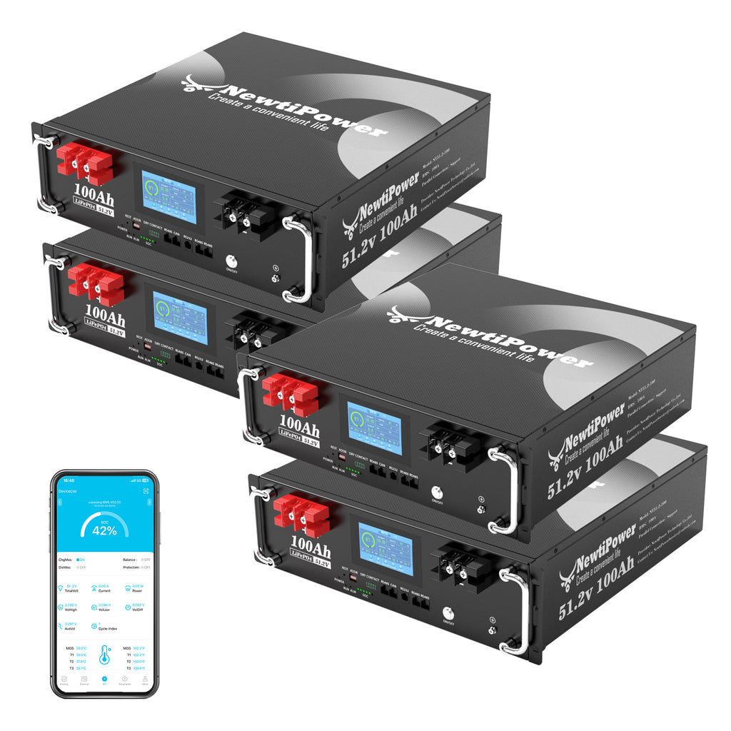 NT51.2V-100RS Lithium Battery